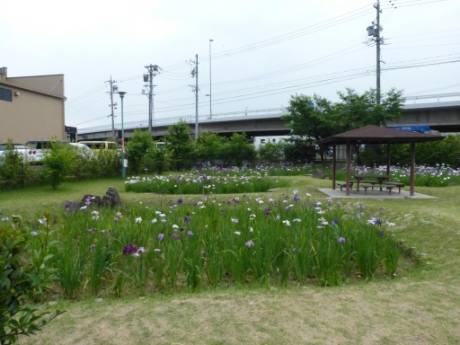 画像5